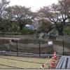 水のない円筒分水が見られます