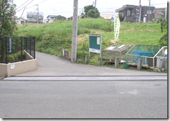 IMGP0435