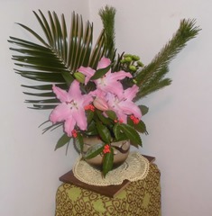 CIMG0504