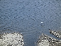 CIMG0694