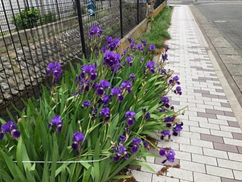 PCR検査は、帰国者・接触者相談センターに相談した人の12.4%