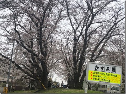 当事者目線の障害福祉推進条例の施行年の当初予算についてその３